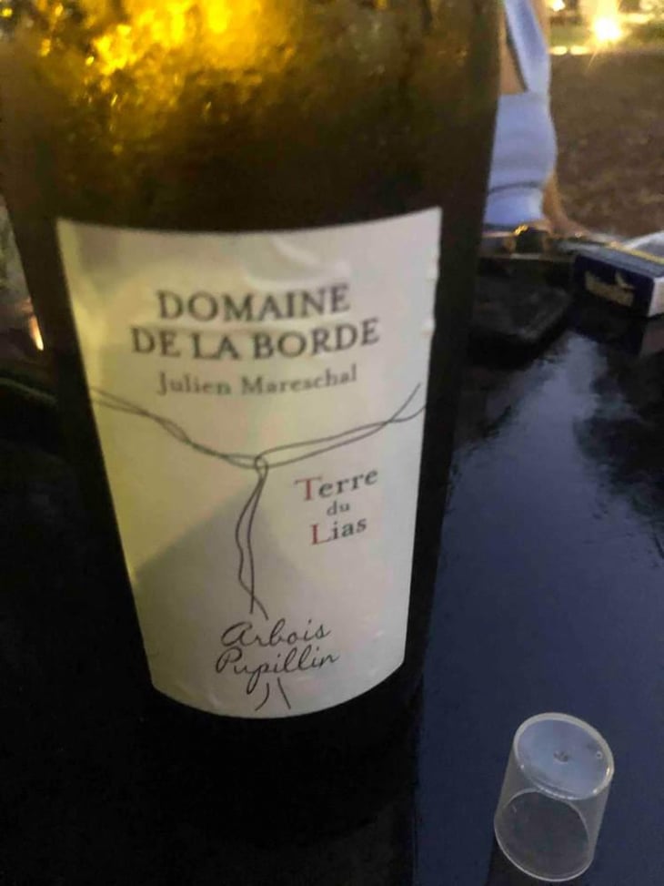 Terre du Lias - Domaine de la Borde - Julien Mareschal 
