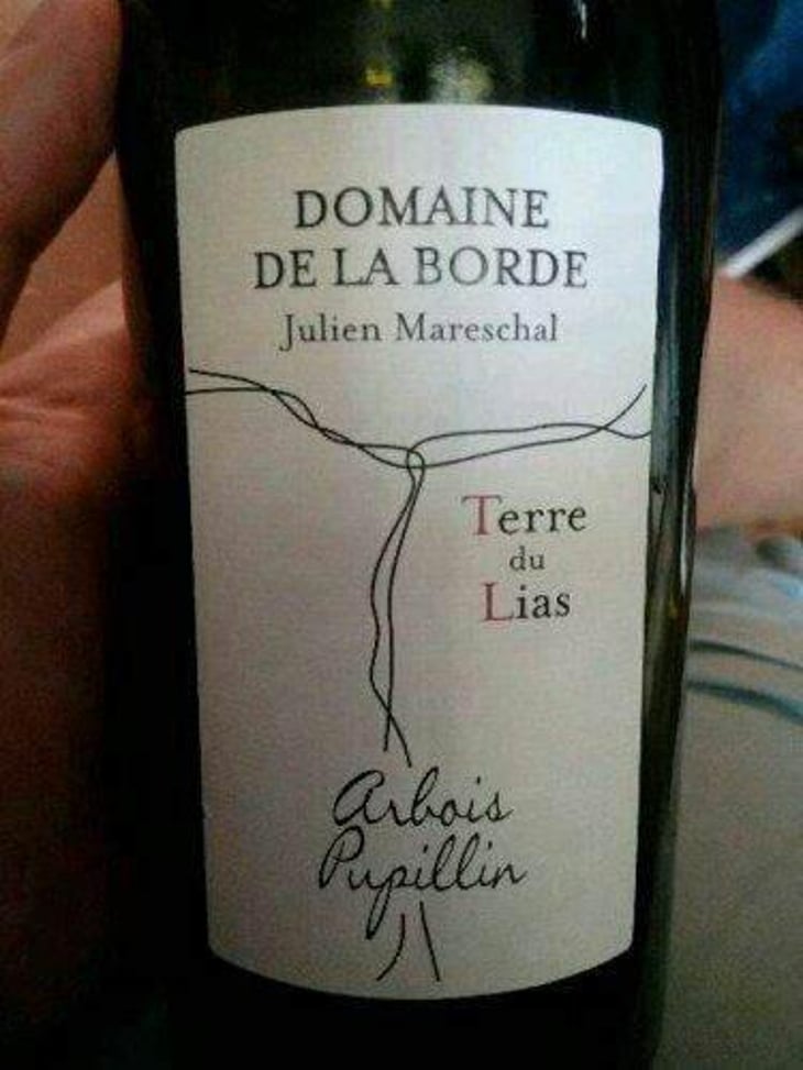 Terre du Lias - Domaine de la Borde - Julien Mareschal 