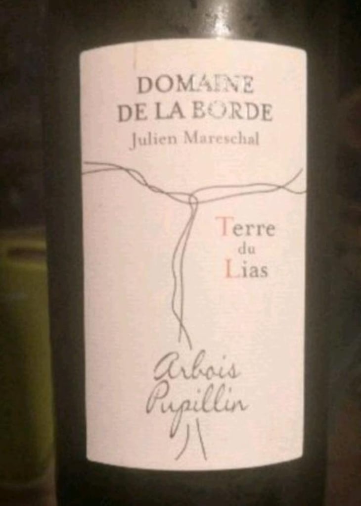 Terre du Lias - Domaine de la Borde - Julien Mareschal 