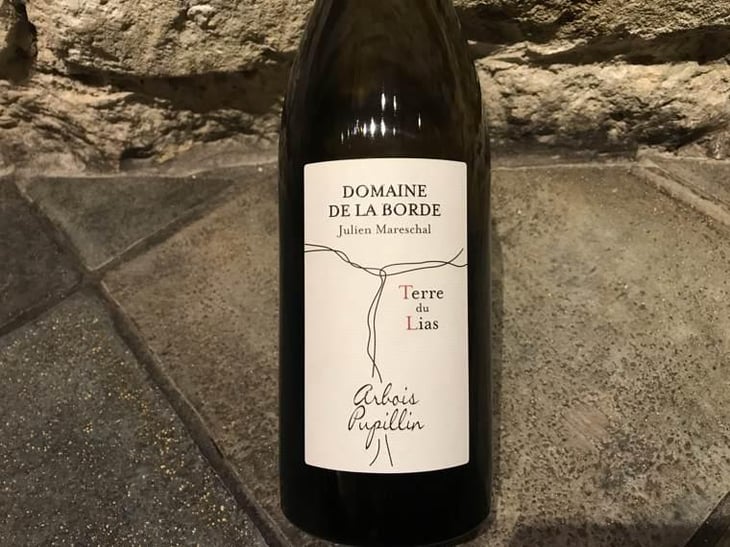 Terre du Lias - Domaine de la Borde - Julien Mareschal 