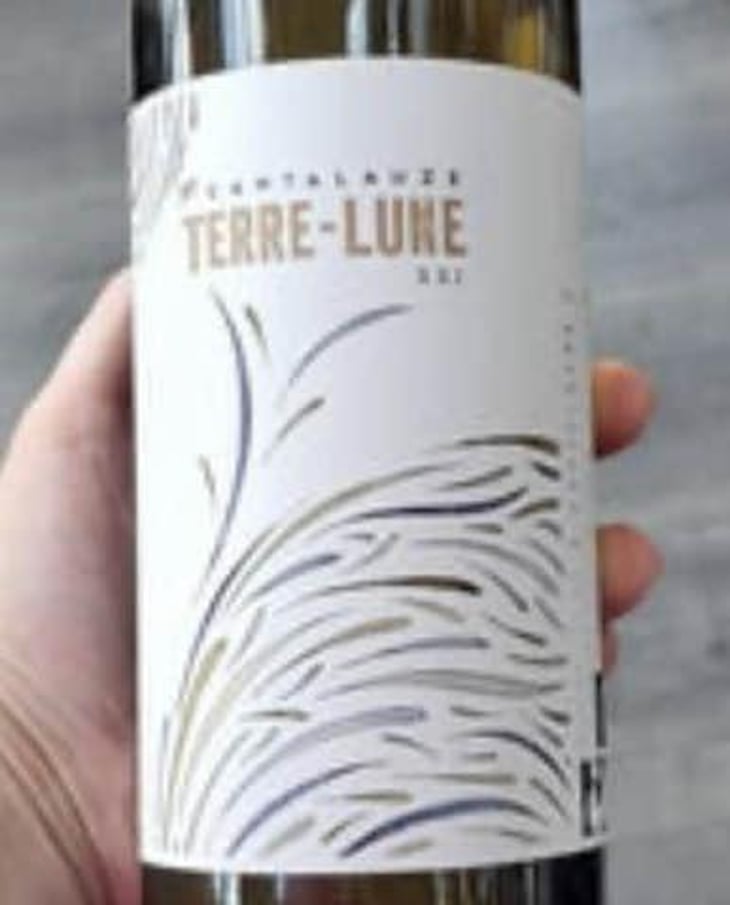 Terre-Lune - Domaine de Cantalauze - Pierre-Olivier & Pauline Laurent -2020