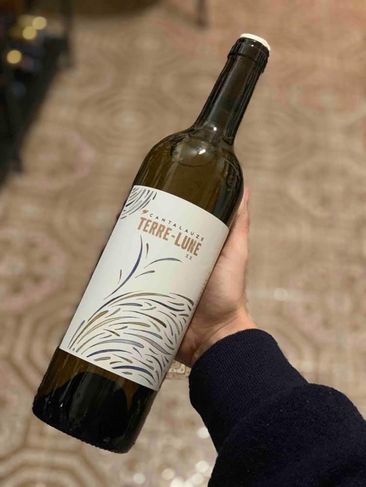 Terre-Lune - Domaine de Cantalauze - Pierre-Olivier & Pauline Laurent --1