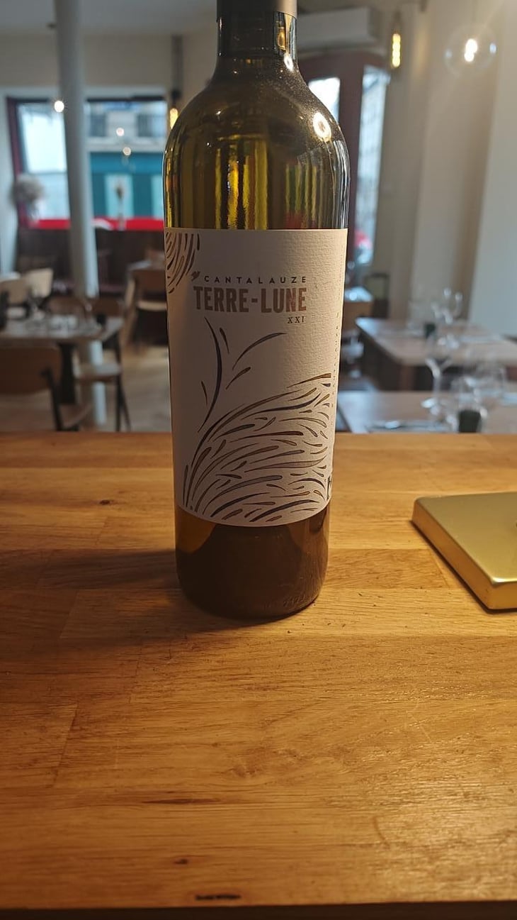 Terre-Lune - Domaine de Cantalauze - Pierre-Olivier & Pauline Laurent -2020