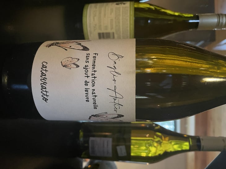 Baglio Antico - Cantina Rallo - Andrea Vesco 