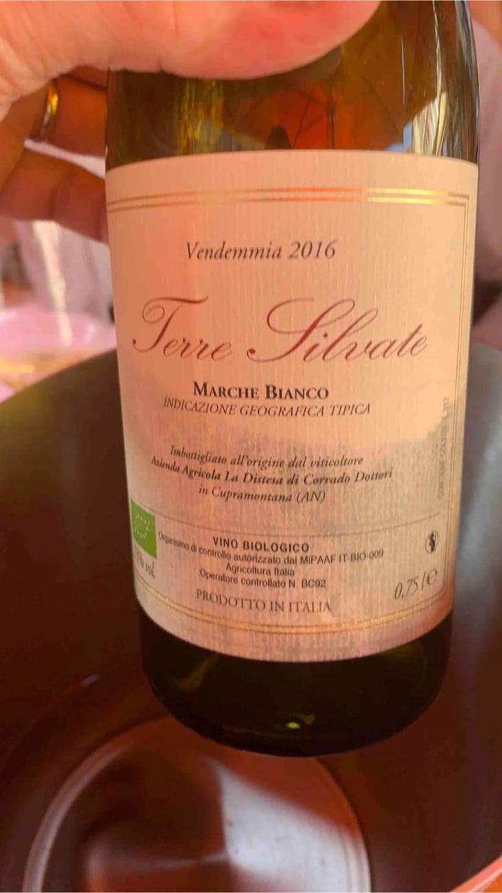 Terre Silvate - La Distesa - Corrado Dottori 