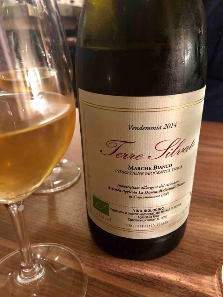Terre Silvate - La Distesa - Corrado Dottori 