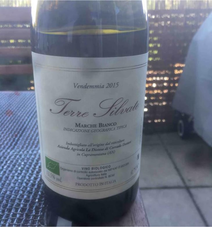 Terre Silvate - La Distesa - Corrado Dottori 