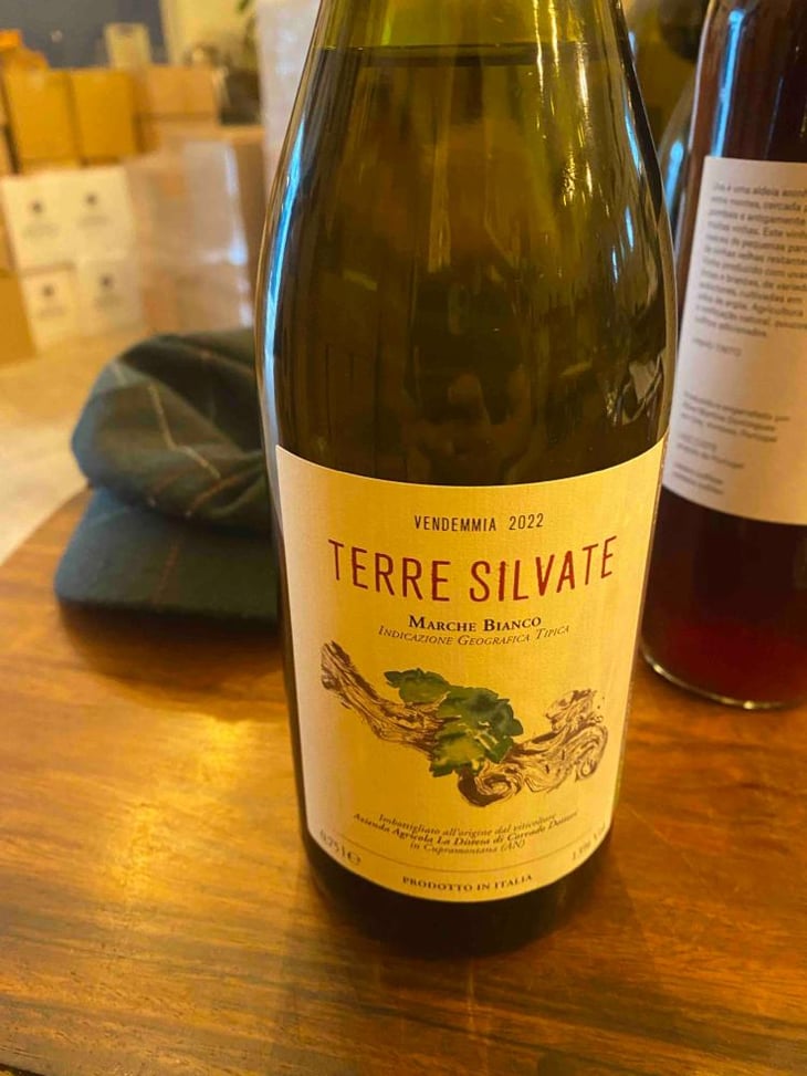Terre Silvate - La Distesa - Corrado Dottori 