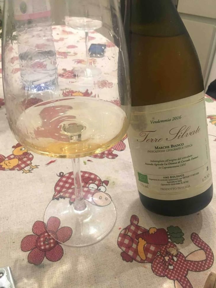 Terre Silvate - La Distesa - Corrado Dottori 