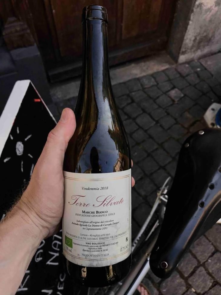 Terre Silvate - La Distesa - Corrado Dottori 