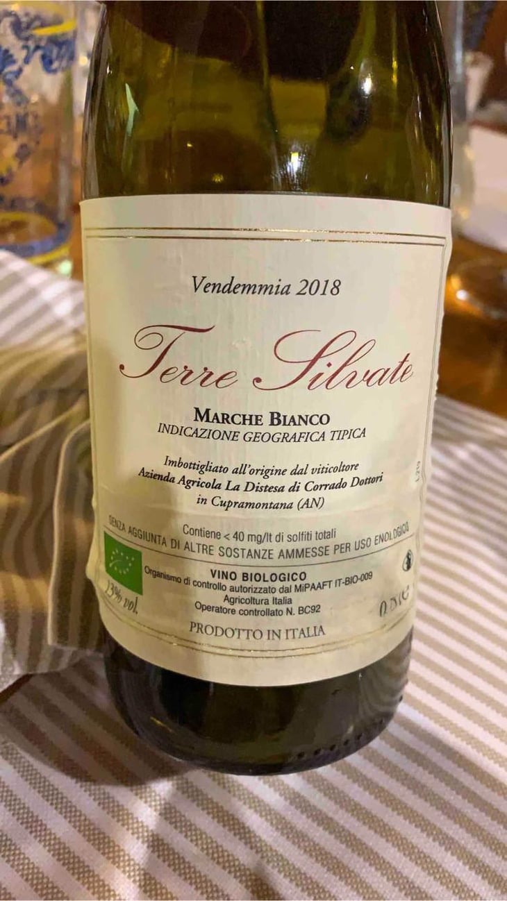 Terre Silvate - La Distesa - Corrado Dottori 