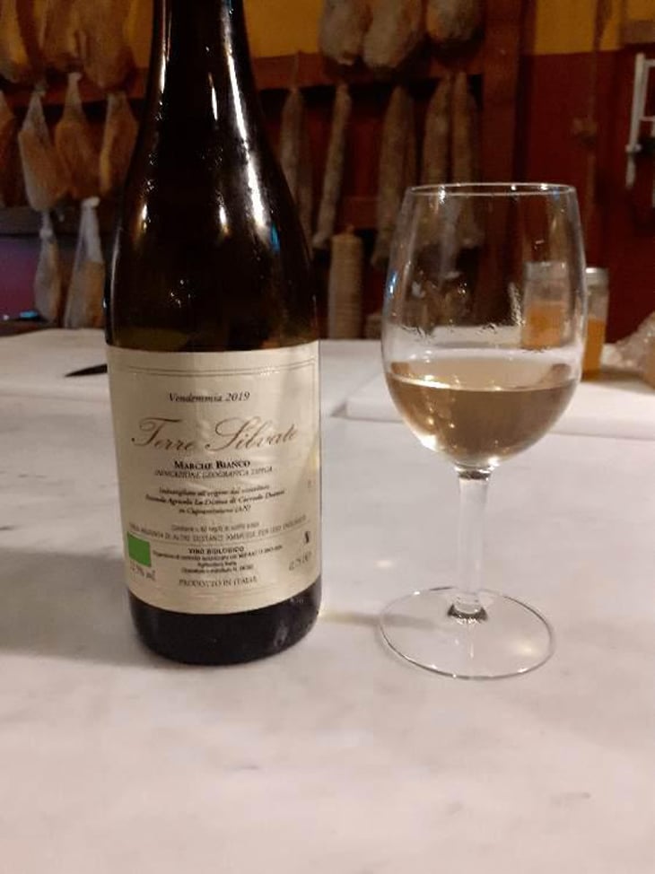 Terre Silvate - La Distesa - Corrado Dottori 