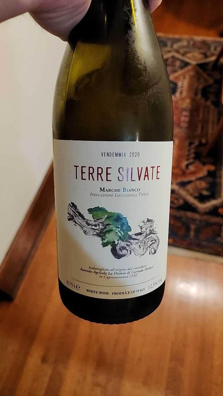 Terre Silvate - La Distesa - Corrado Dottori 