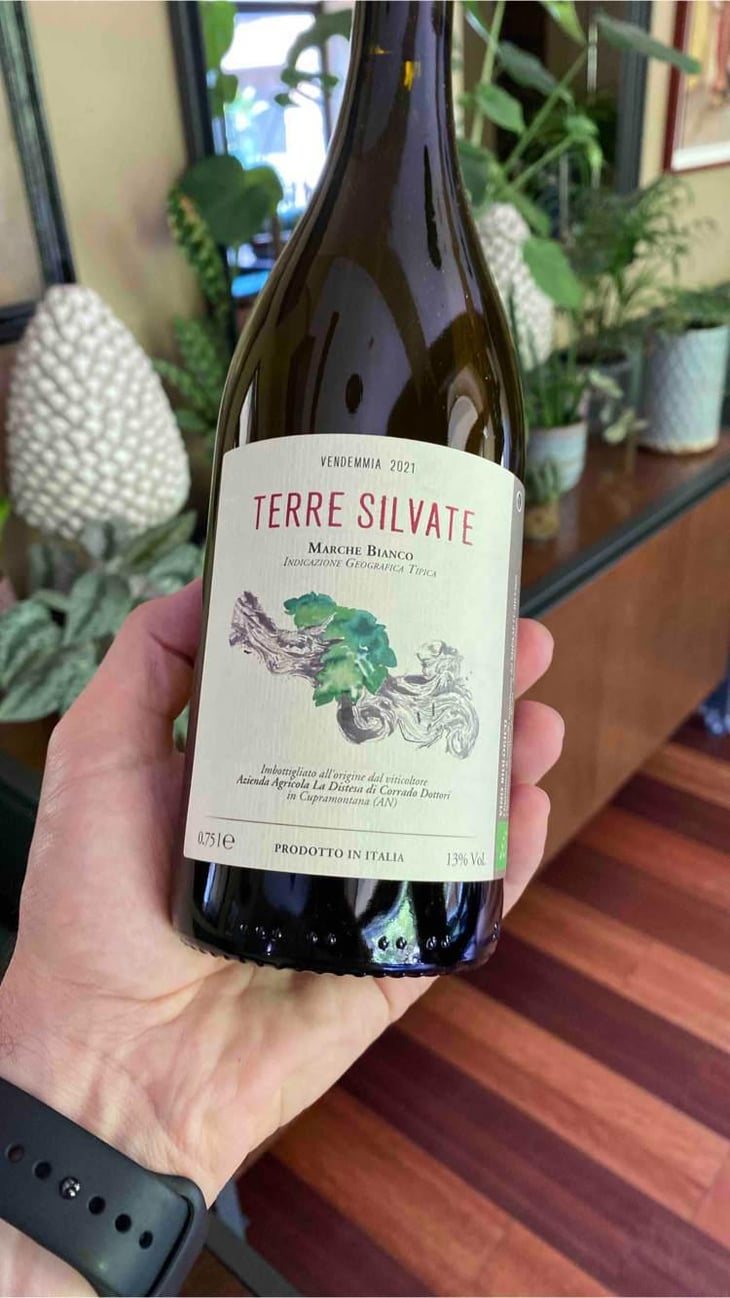 Terre Silvate - La Distesa - Corrado Dottori 