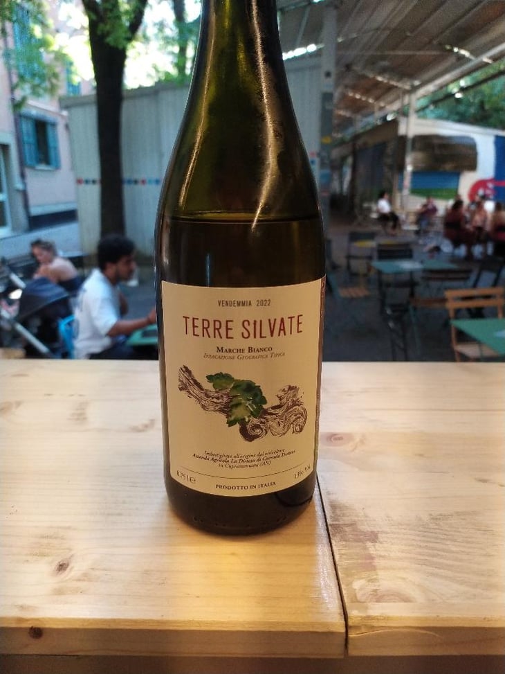 Terre Silvate - La Distesa - Corrado Dottori 