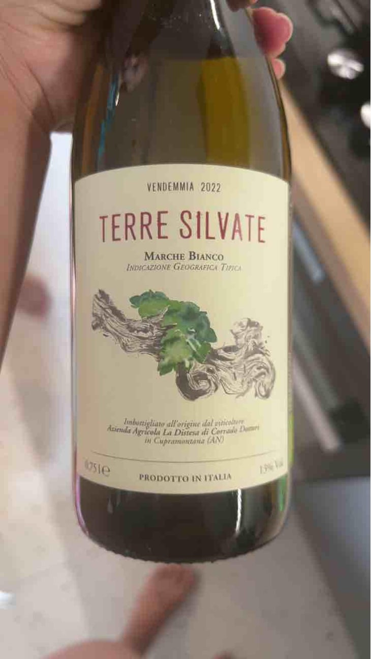 Terre Silvate - La Distesa - Corrado Dottori 