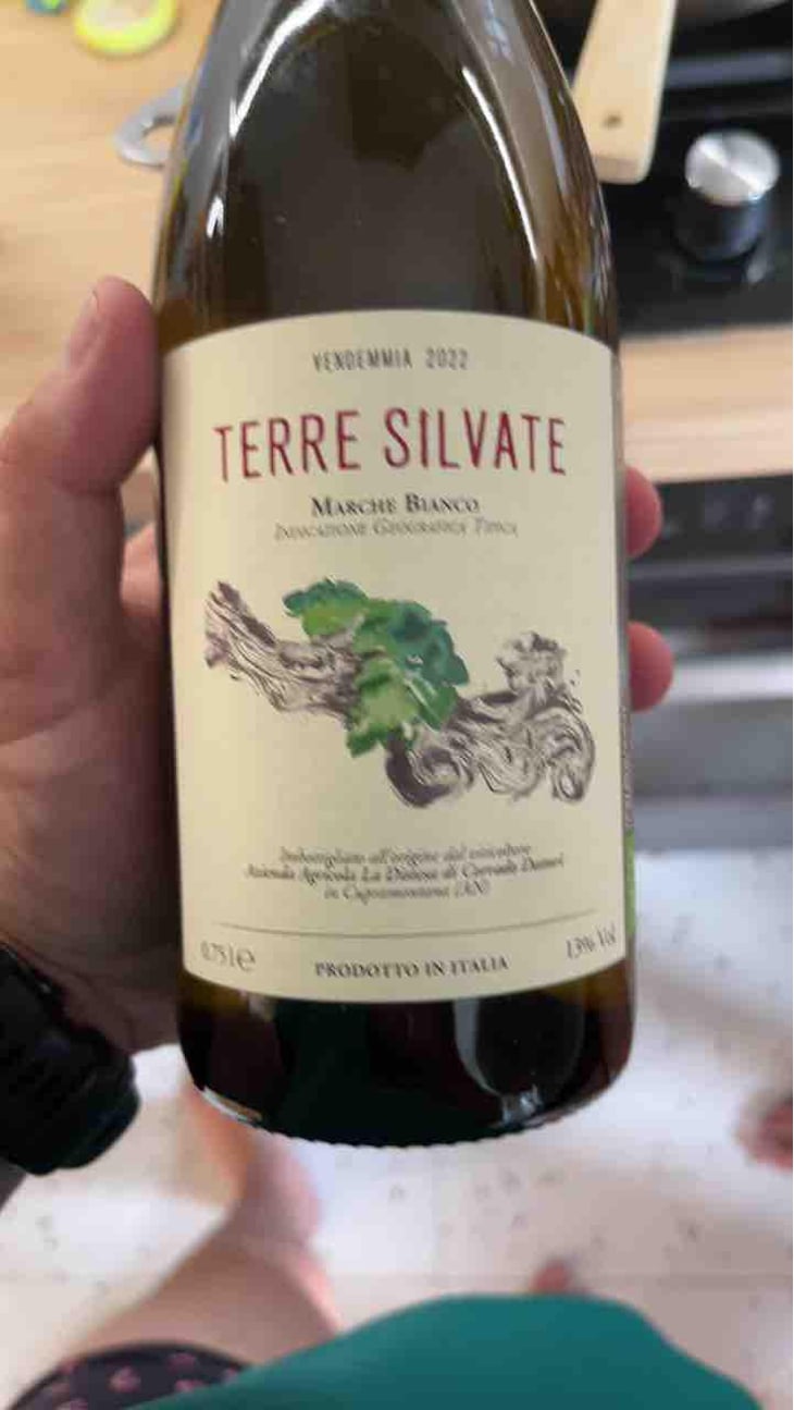 Terre Silvate - La Distesa - Corrado Dottori 