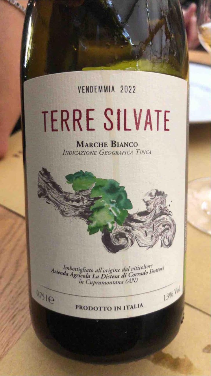Terre Silvate - La Distesa - Corrado Dottori 