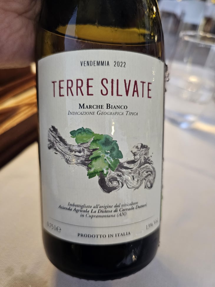 Terre Silvate - La Distesa - Corrado Dottori 
