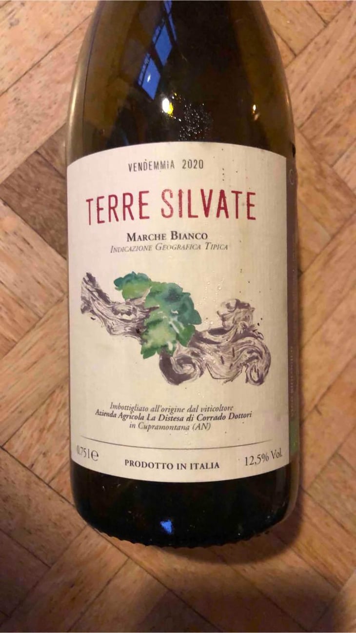 Terre Silvate - La Distesa - Corrado Dottori 