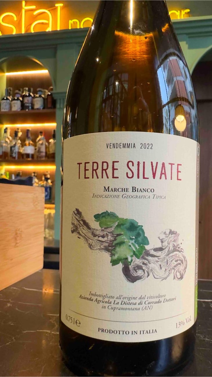 Terre Silvate - La Distesa - Corrado Dottori 