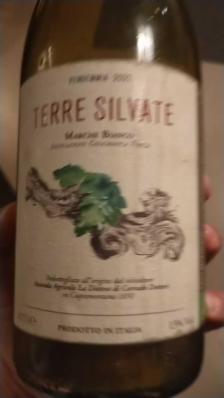 Terre Silvate - La Distesa - Corrado Dottori 