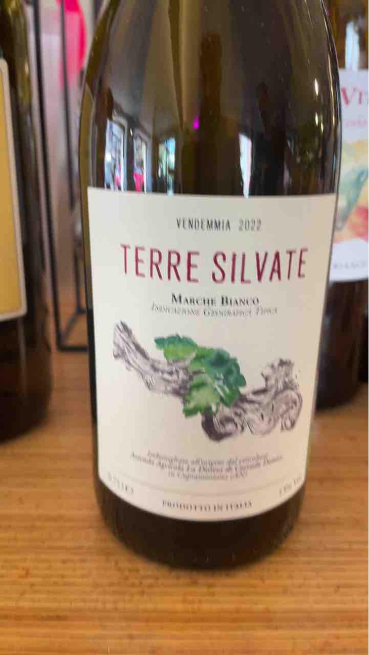 Terre Silvate - La Distesa - Corrado Dottori 