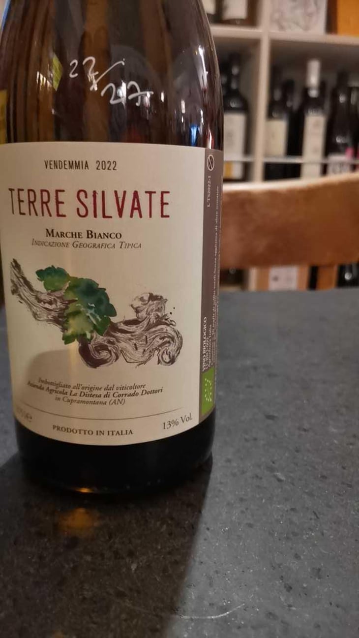 Terre Silvate - La Distesa - Corrado Dottori 