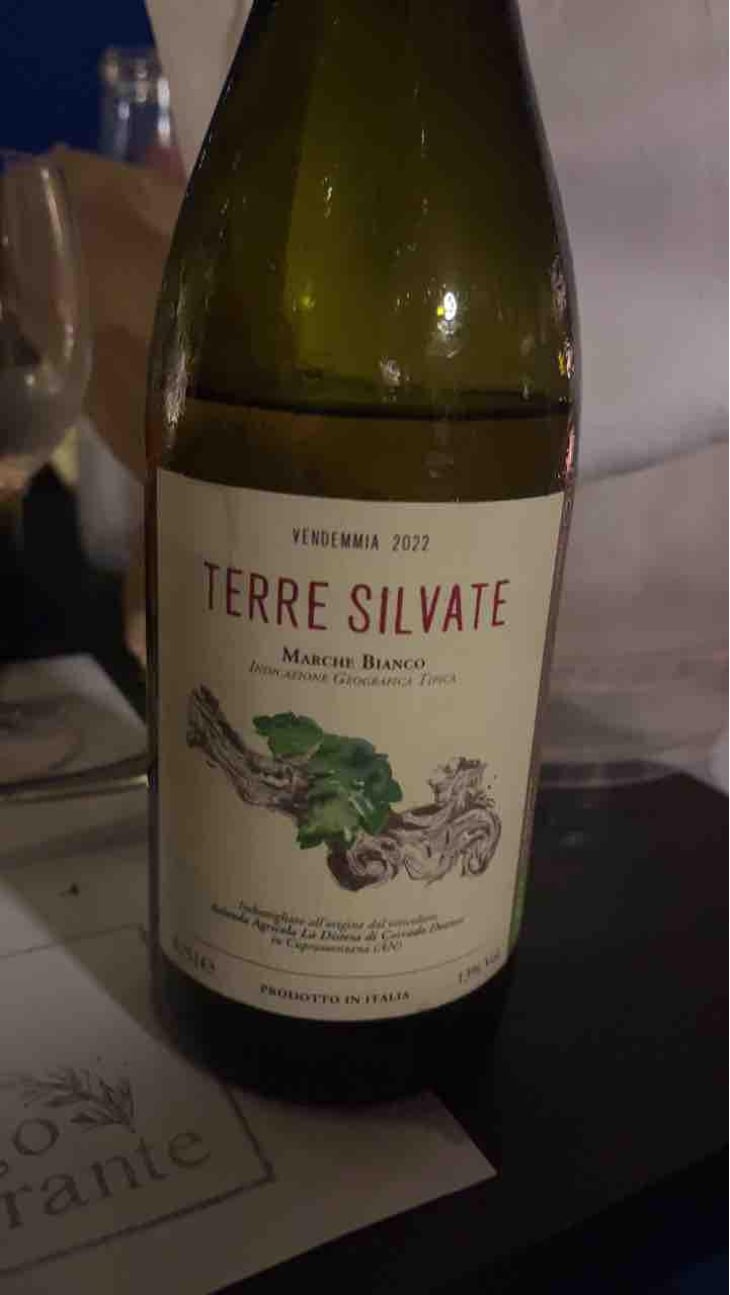 Terre Silvate - La Distesa - Corrado Dottori 