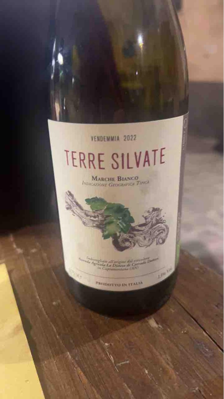 Terre Silvate - La Distesa - Corrado Dottori 
