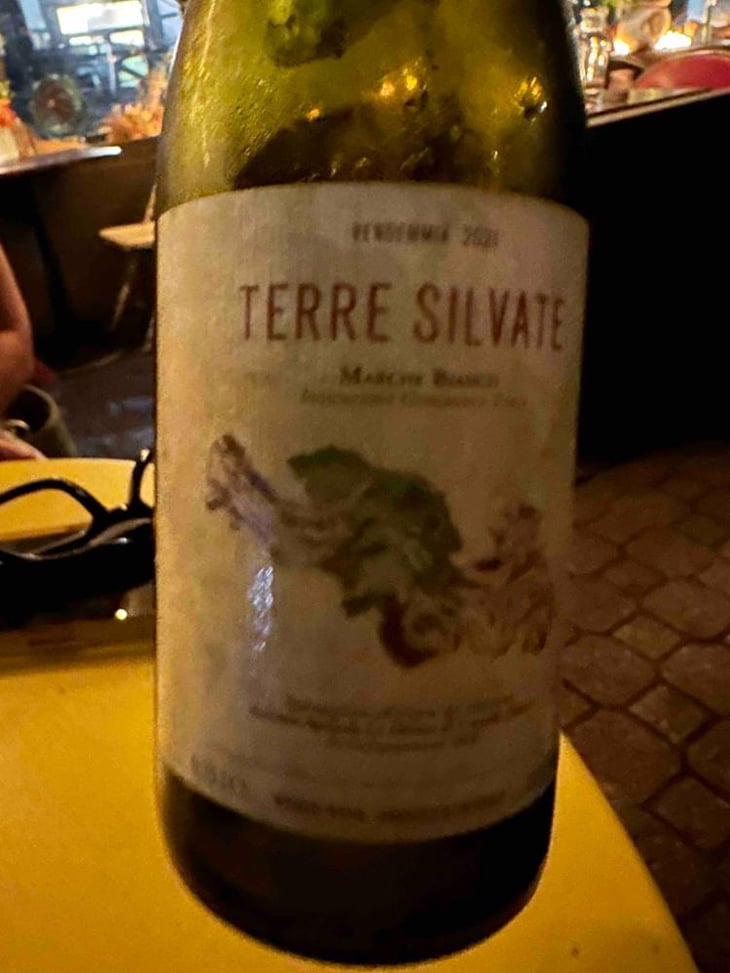 Terre Silvate - La Distesa - Corrado Dottori 