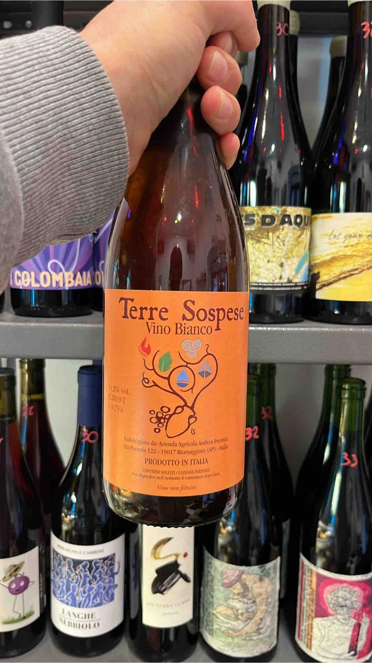 Terre Sospese - Terre Sospese - Andrea Pecunia 