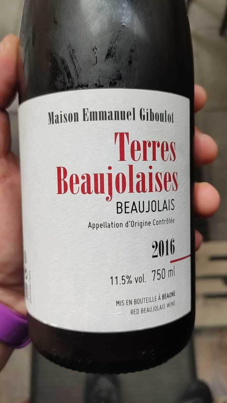 Terres Beaujolaises - Domaine Emmanuel Giboulot - Emmanuel Giboulot 