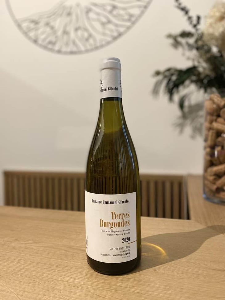 Terres Burgondes - Domaine Emmanuel Giboulot - Emmanuel Giboulot 