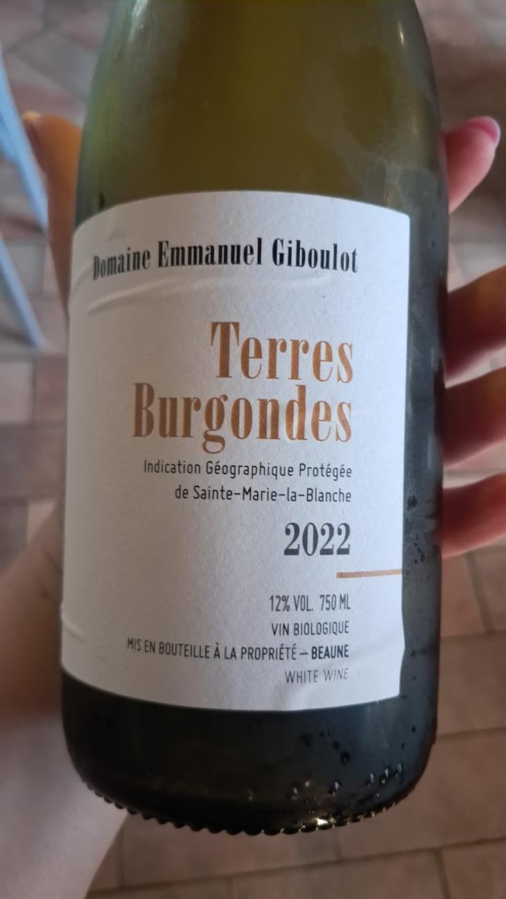 Terres Burgondes - Domaine Emmanuel Giboulot - Emmanuel Giboulot 