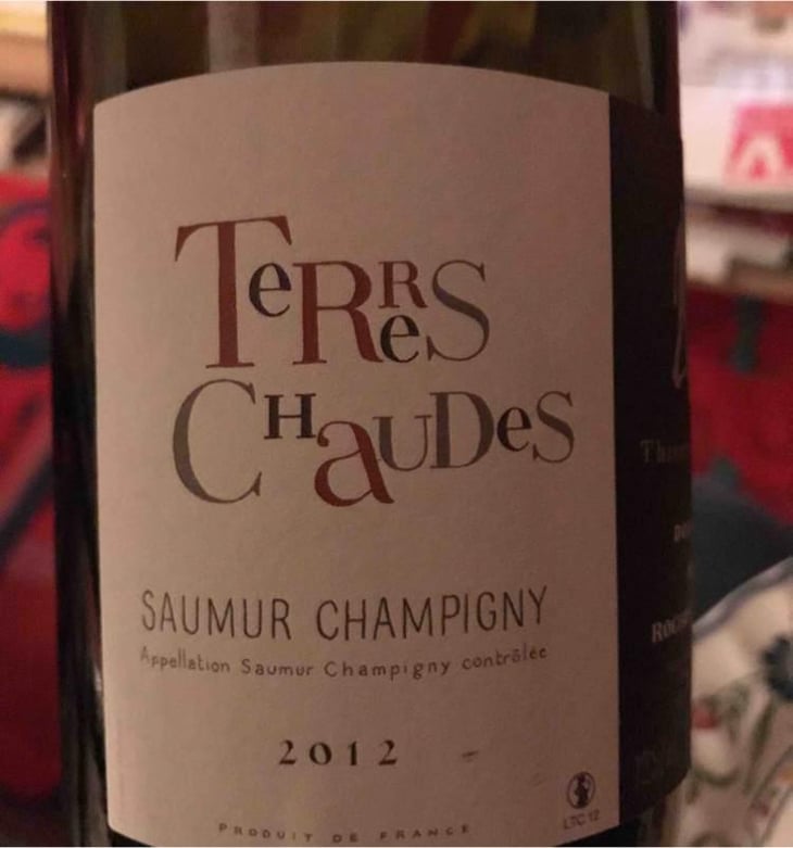 Terres Chaudes - Domaine des Roches Neuves - Thierry et Louis Germain 