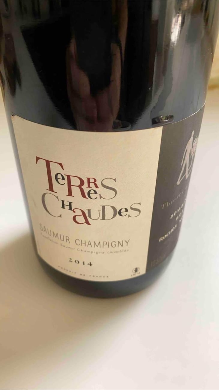 Terres Chaudes - Domaine des Roches Neuves - Thierry et Louis Germain 