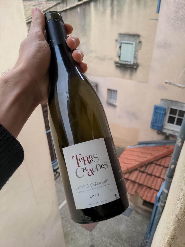 Terres Chaudes - Domaine des Roches Neuves - Thierry et Louis Germain 