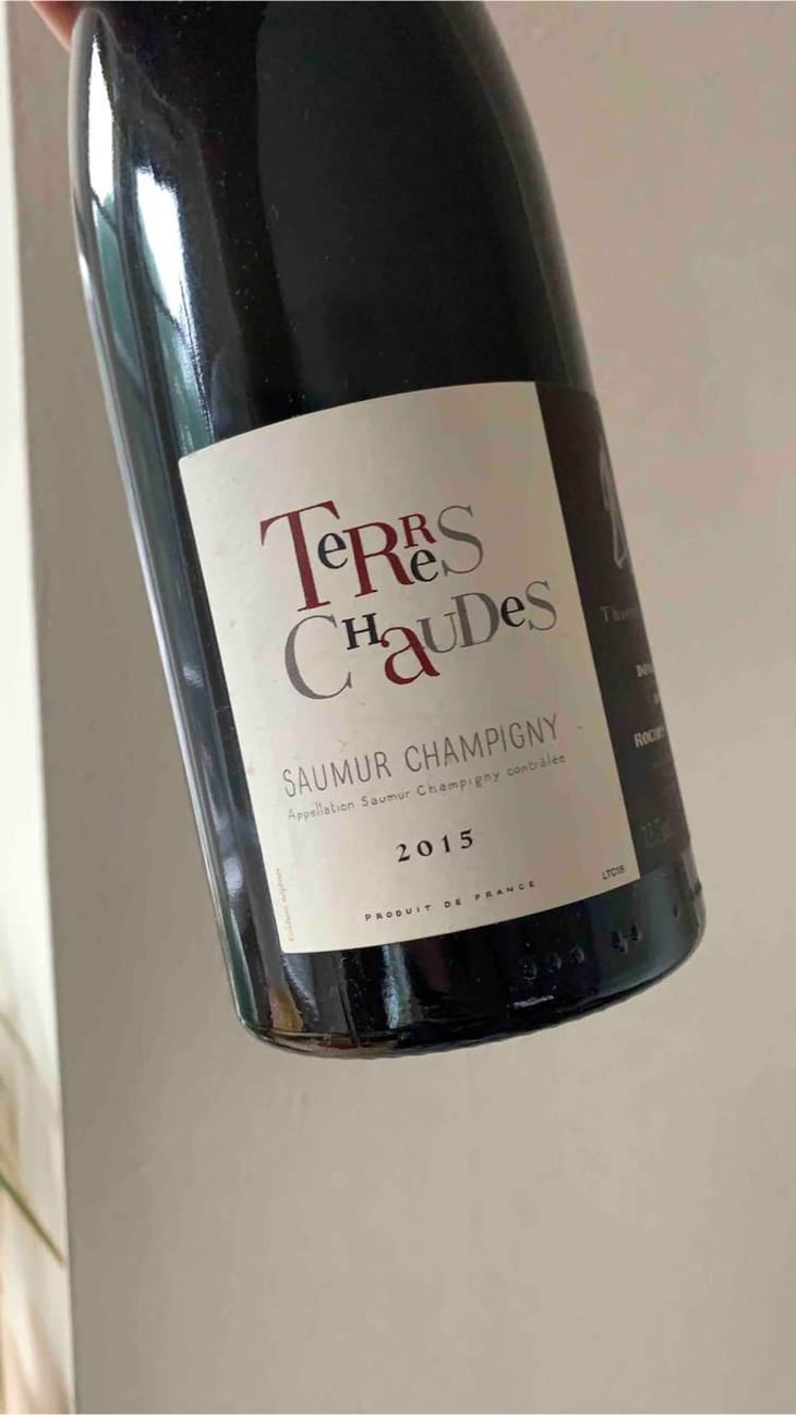 Terres Chaudes - Domaine des Roches Neuves - Thierry et Louis Germain 