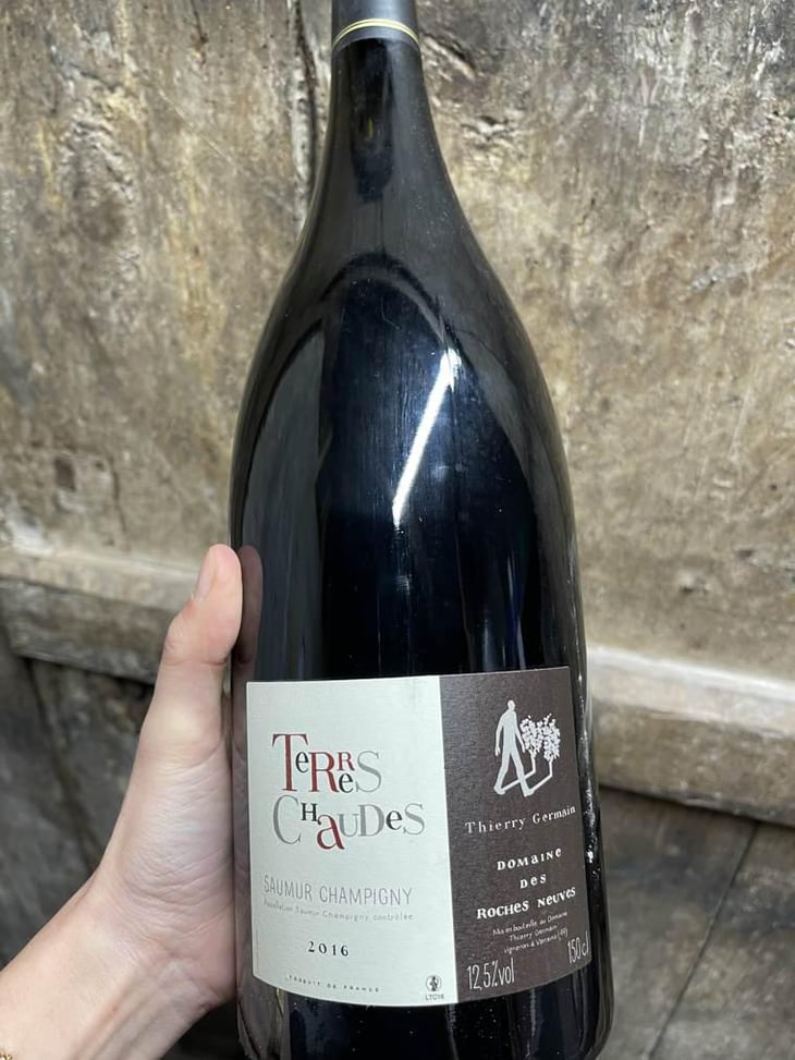 Terres Chaudes - Domaine des Roches Neuves - Thierry et Louis Germain 