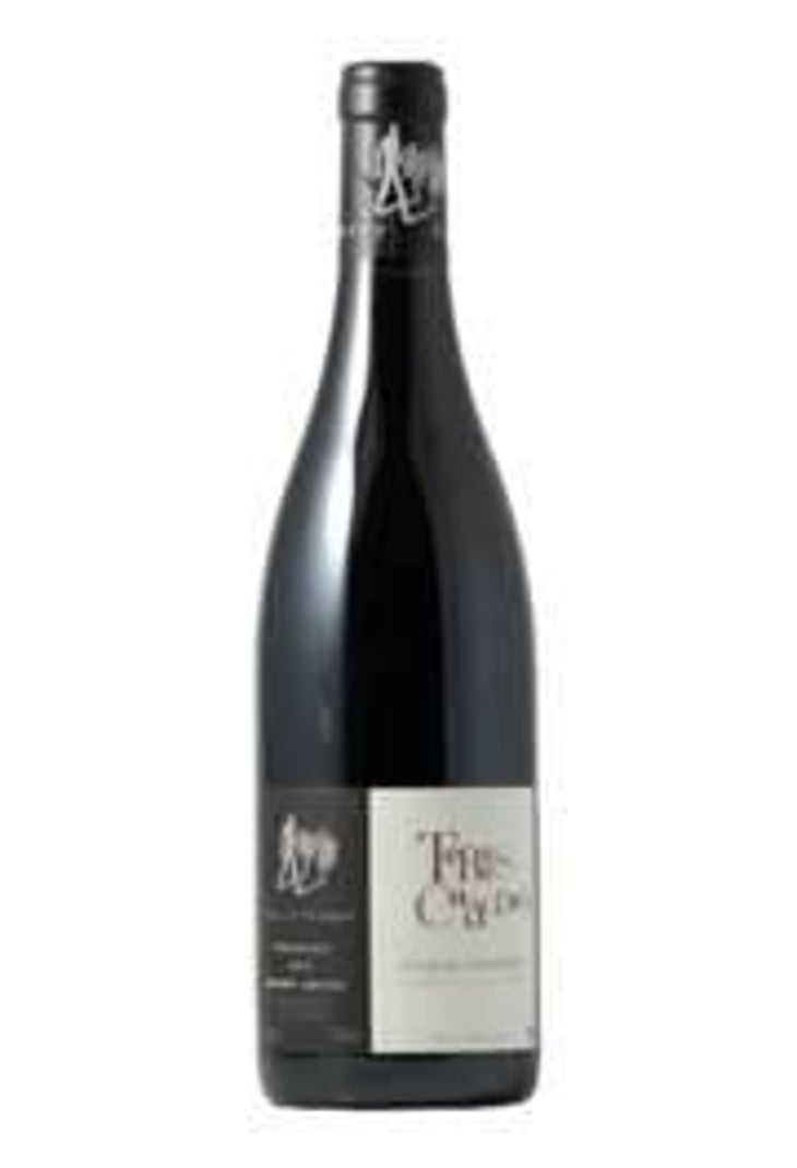 Terres Chaudes - Domaine des Roches Neuves - Thierry et Louis Germain 