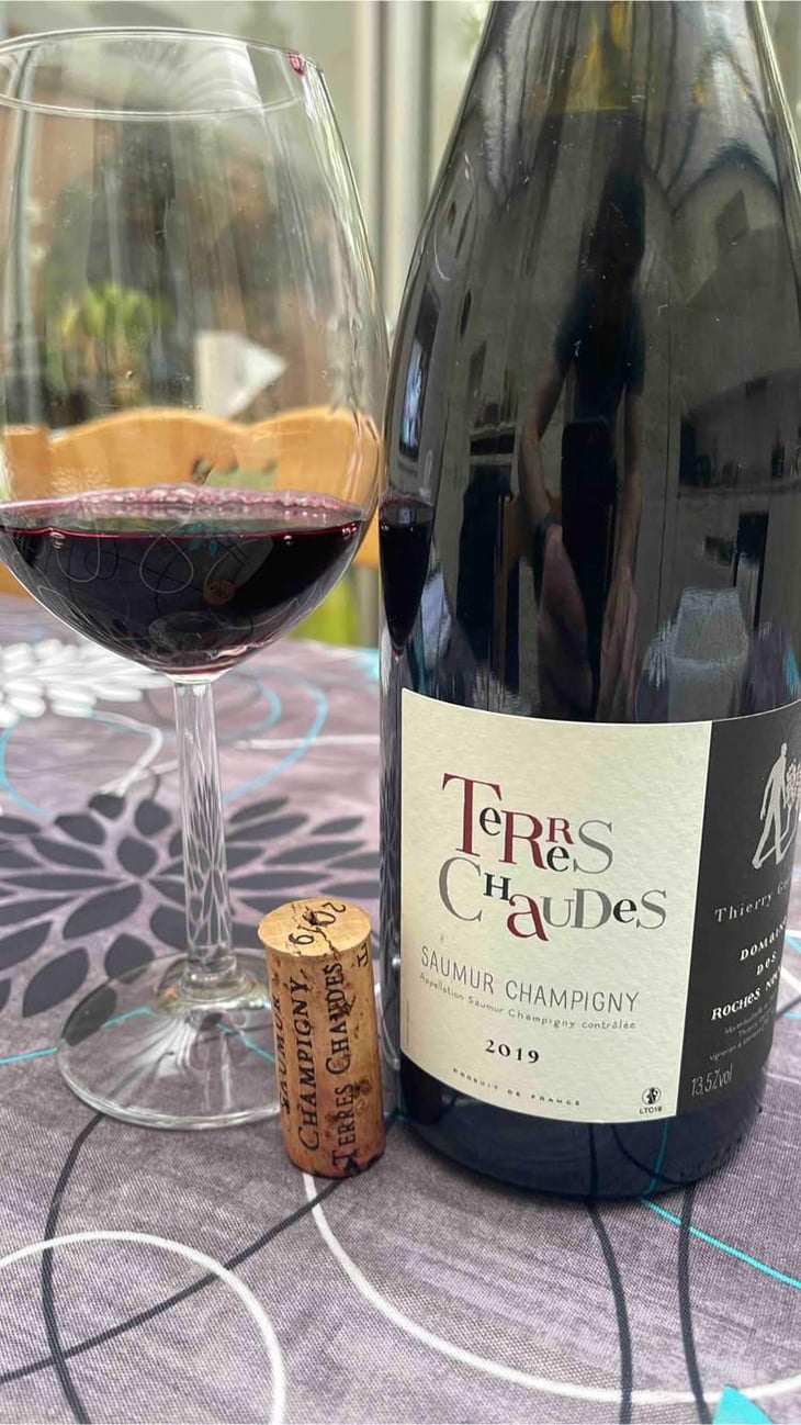 Terres Chaudes - Domaine des Roches Neuves - Thierry et Louis Germain 