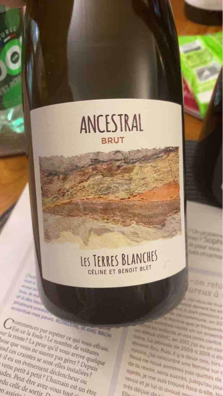Ancestral Blanc - Les Terres Blanches - Celine & Benoit Blet -2022