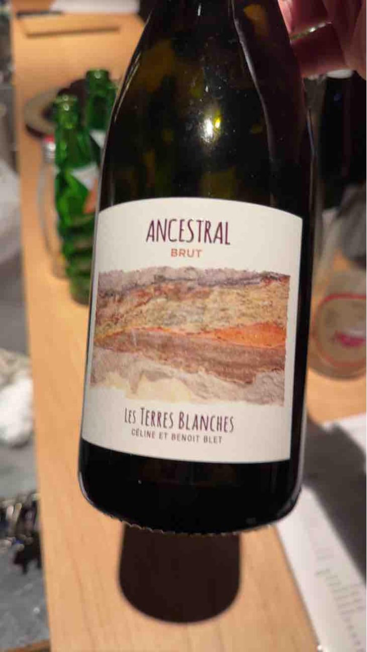 Ancestral Blanc - Les Terres Blanches - Celine & Benoit Blet -2022