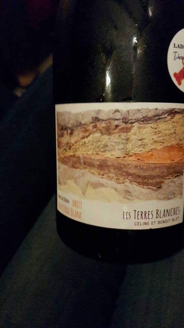 Ancestral Blanc - Les Terres Blanches - Celine & Benoit Blet -2022