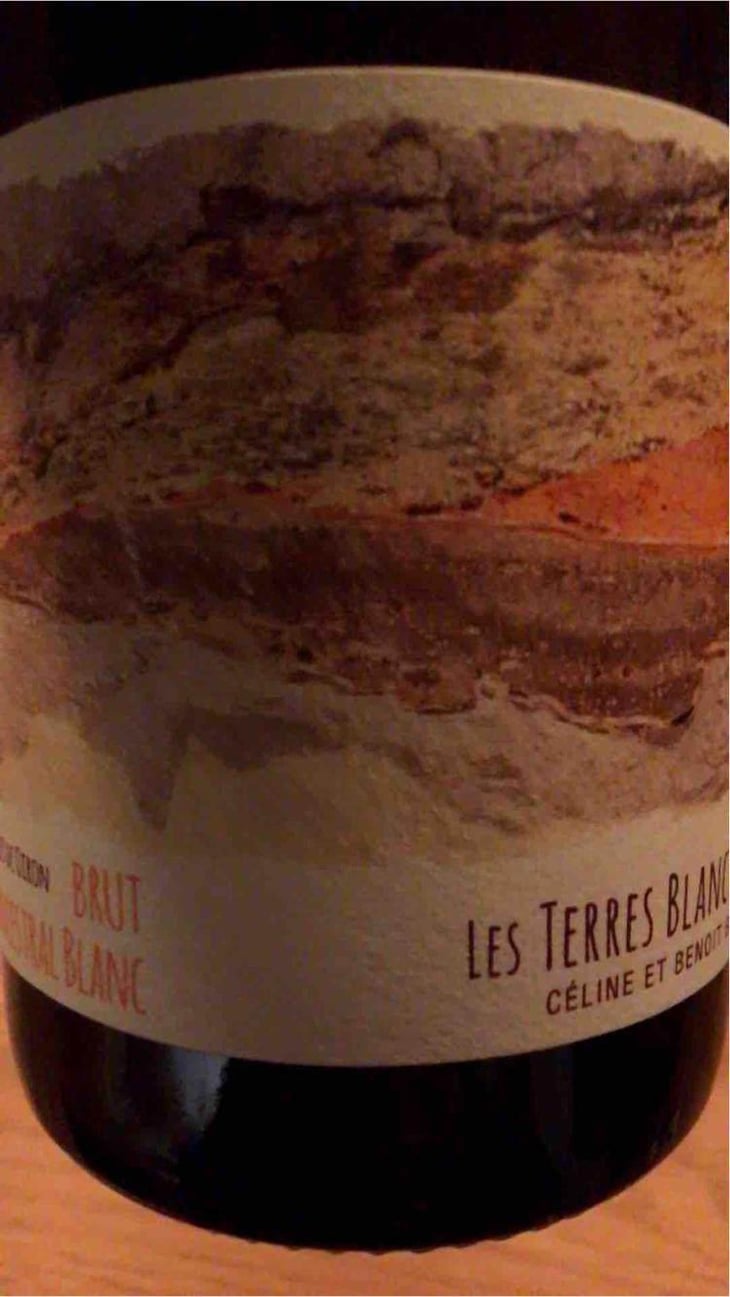 Ancestral Blanc - Les Terres Blanches - Celine & Benoit Blet -2022