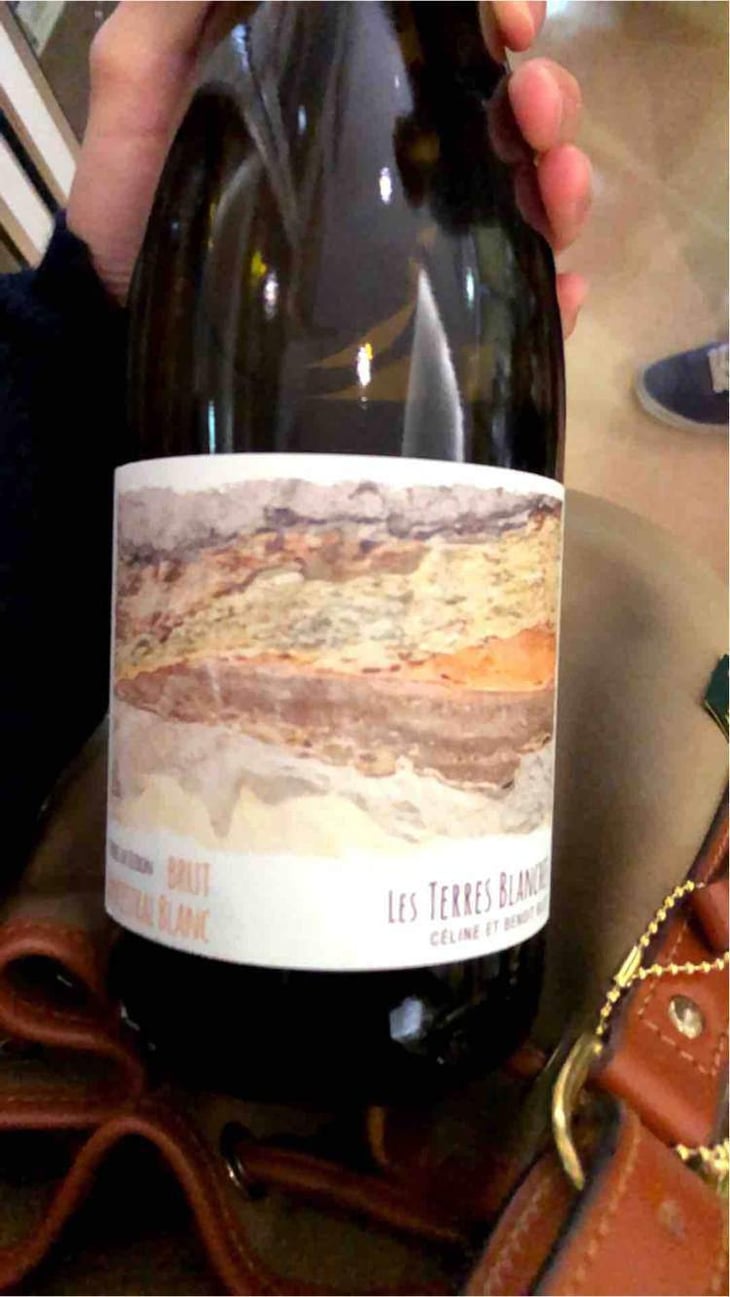 Ancestral Blanc - Les Terres Blanches - Celine & Benoit Blet -2022
