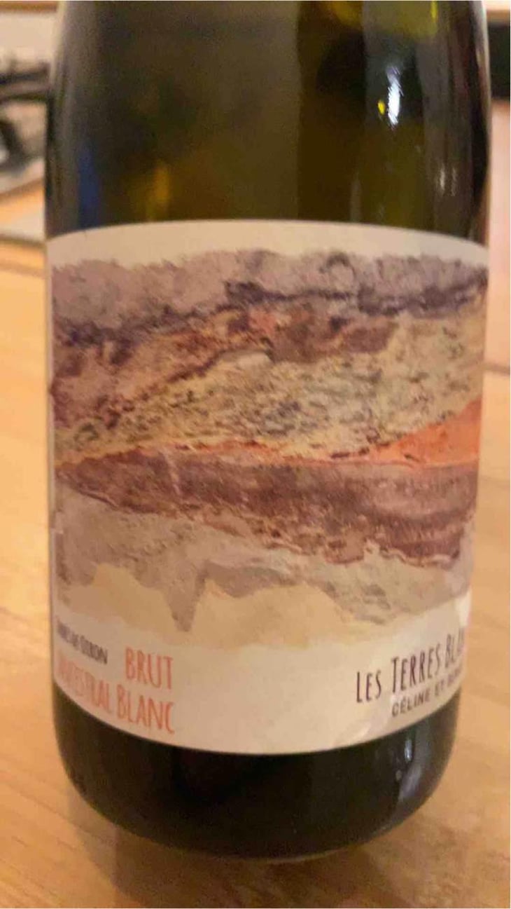 Ancestral Blanc - Les Terres Blanches - Celine & Benoit Blet -2022