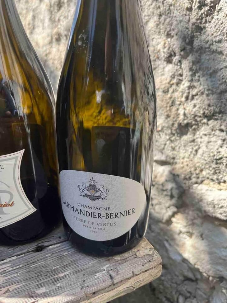 Terres de Vertus - Premier Cru - Champagne Larmandier-Bernier - Pierre, Sophie & Arthur Larmandier 