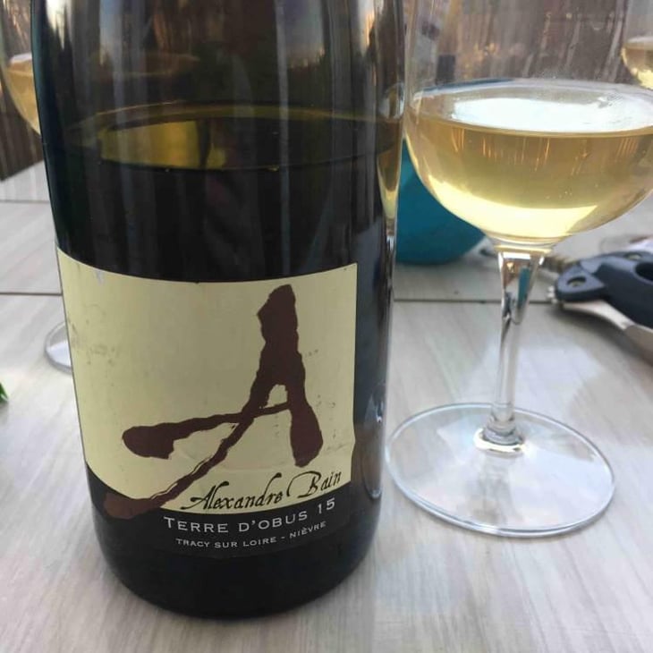 Terres d'Obus - Domaine Alexandre Bain - Alexandre Bain 